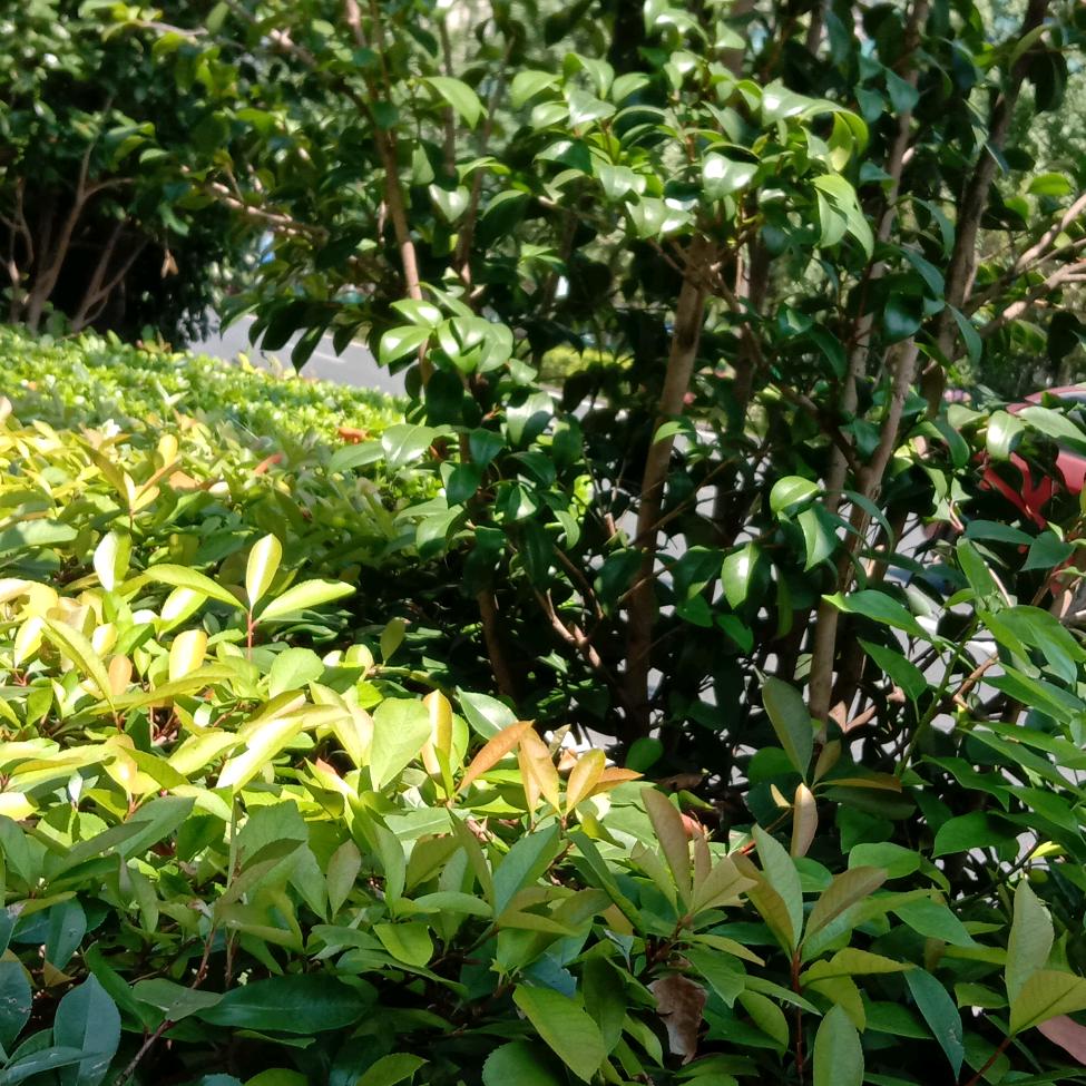 武大郎孙杰(贵阳招搭档)