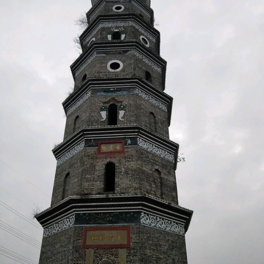 小熊