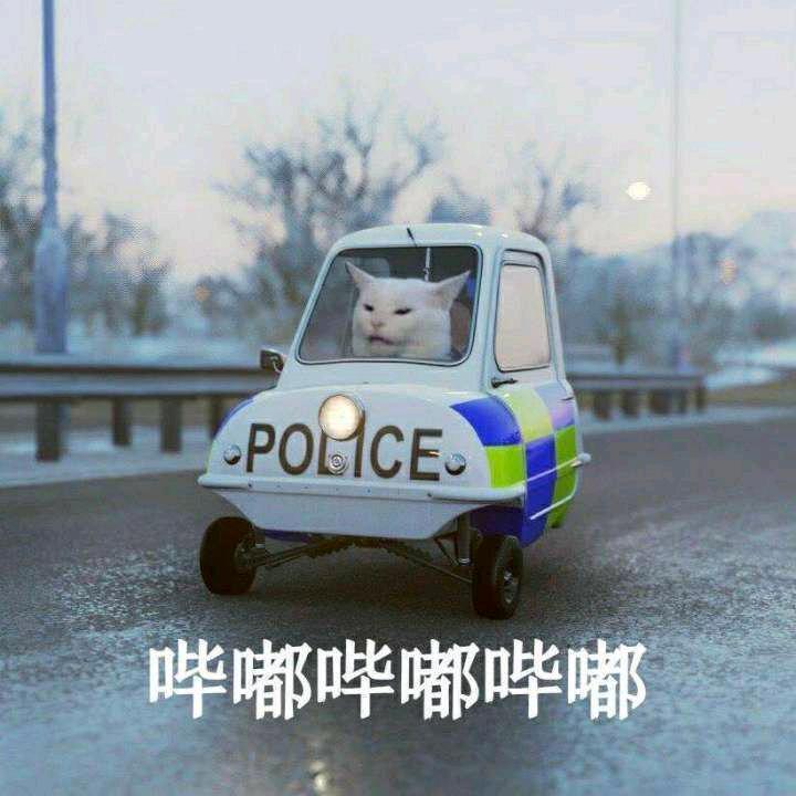 猛踹瘸子那条好腿