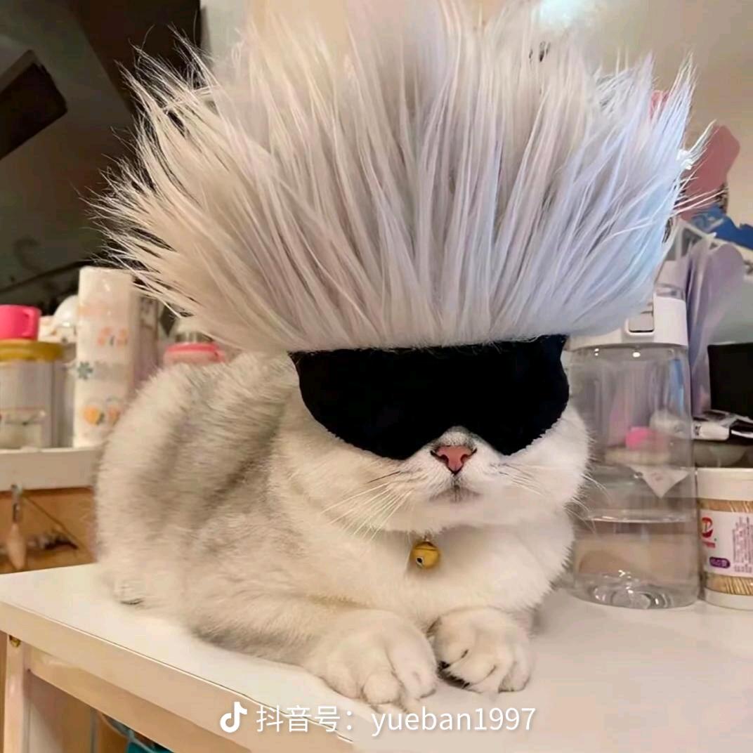 一城烟雨一楼台