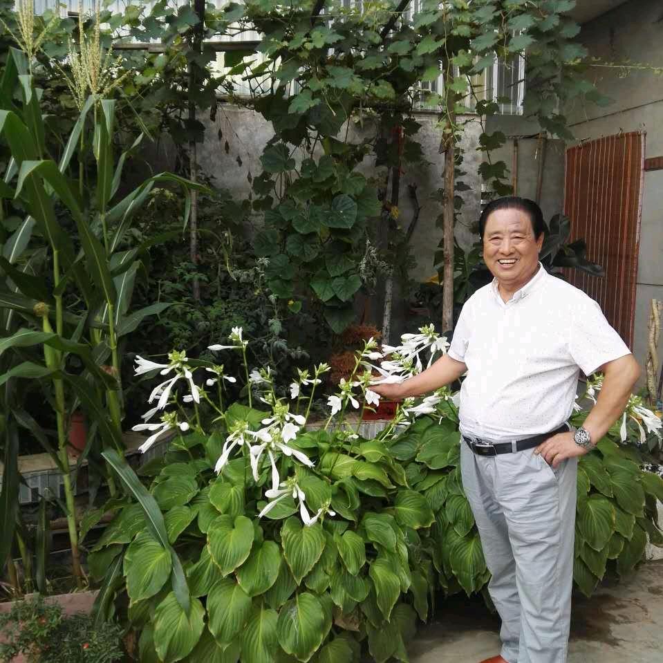 枫韵紫秋.