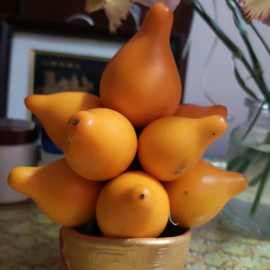 五月花