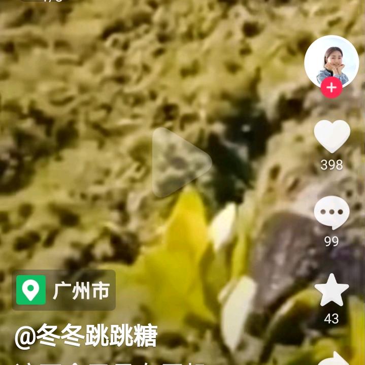 冯松柏