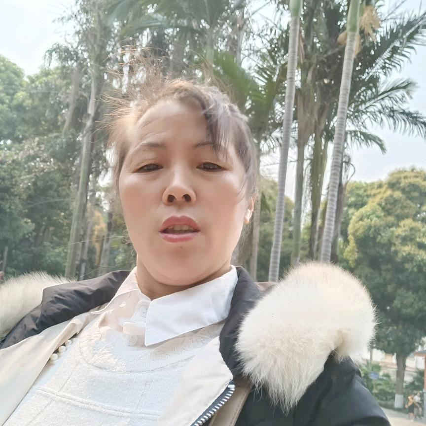 杨杨