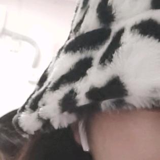 世上就一个月月