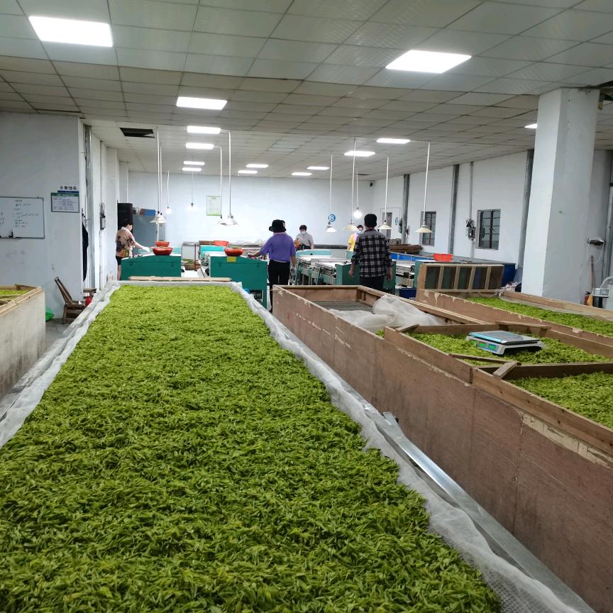 祥筠茶叶旗舰店