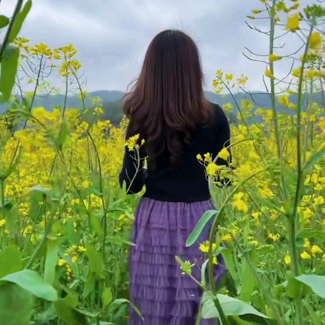 孤雁(拒私聊)