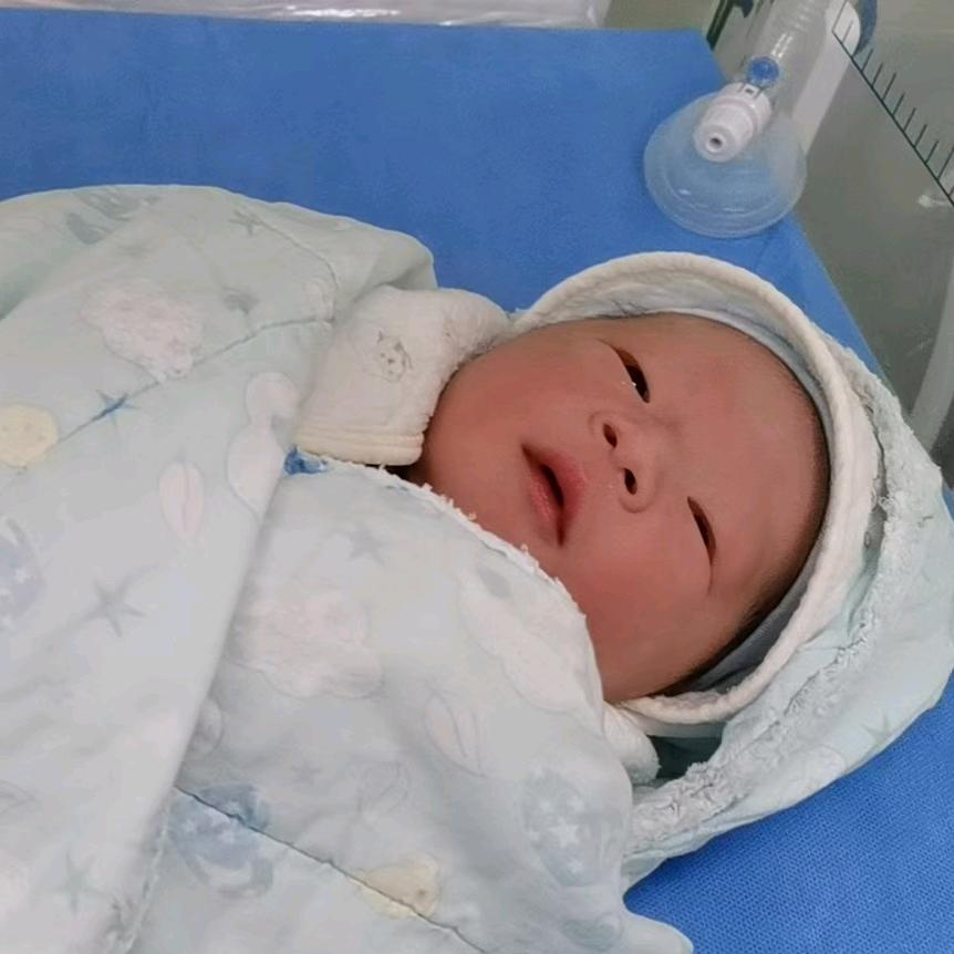 小新新成长记