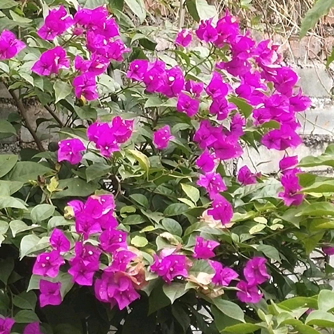 一生有你