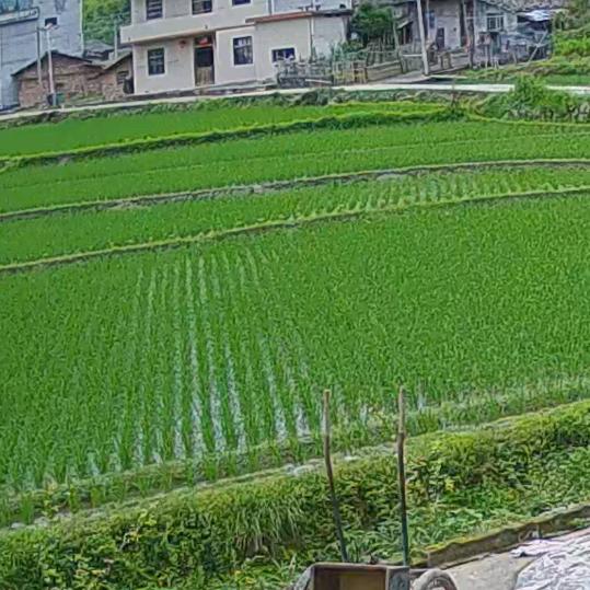 今天，明天……………………