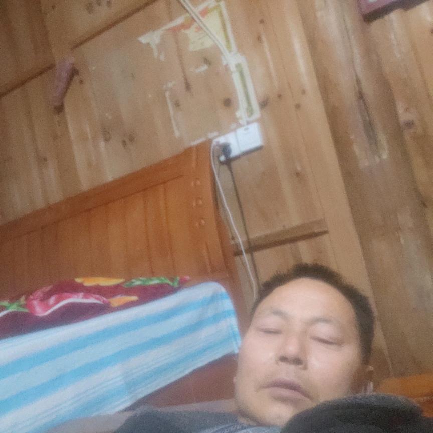 鱼王