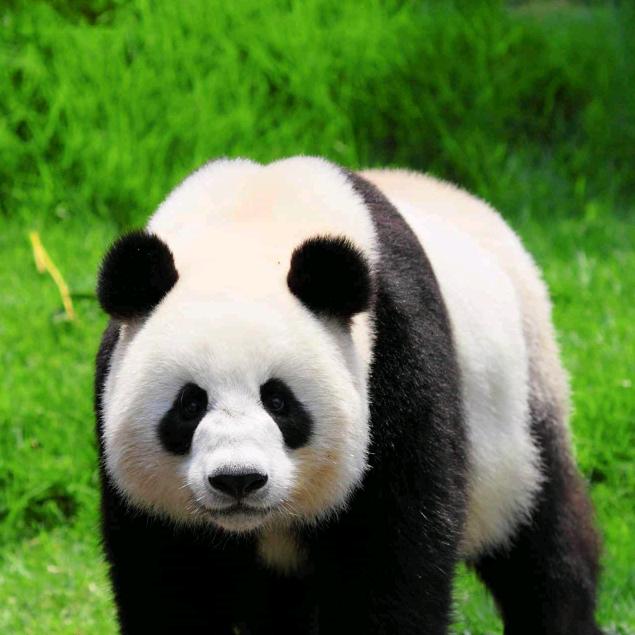 永远为公