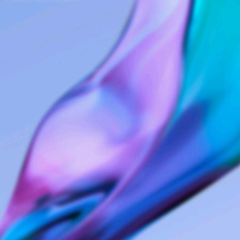 波波的忠实粉丝