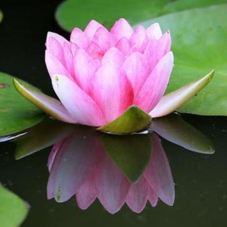 蕲春县章启广告经营部