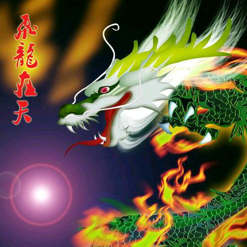 飛龍在天