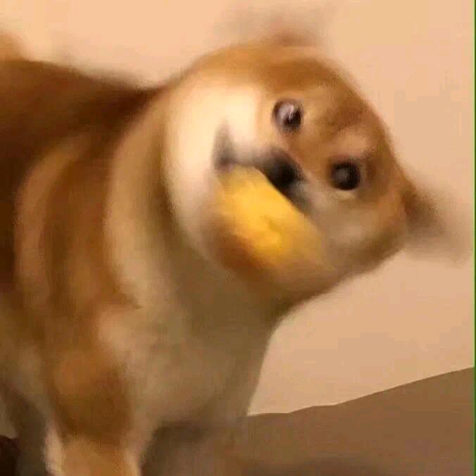 开心额可是可惜不是