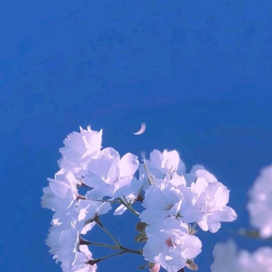 郑州窗帘_张姐