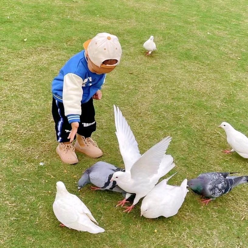 守望