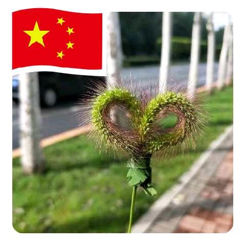一个俗人