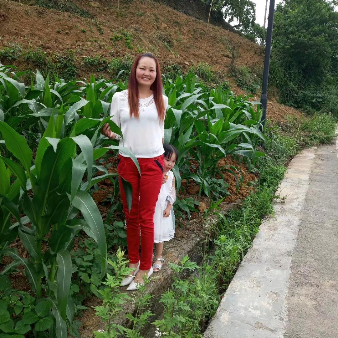 梓晨奶奶