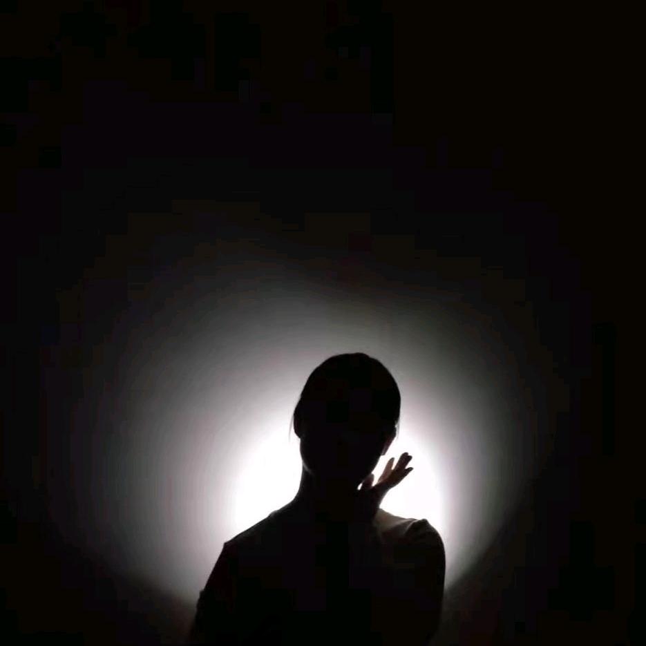 爱吃西红柿炒鸡蛋