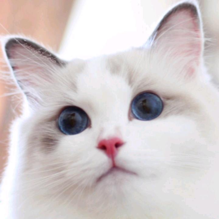 晴天