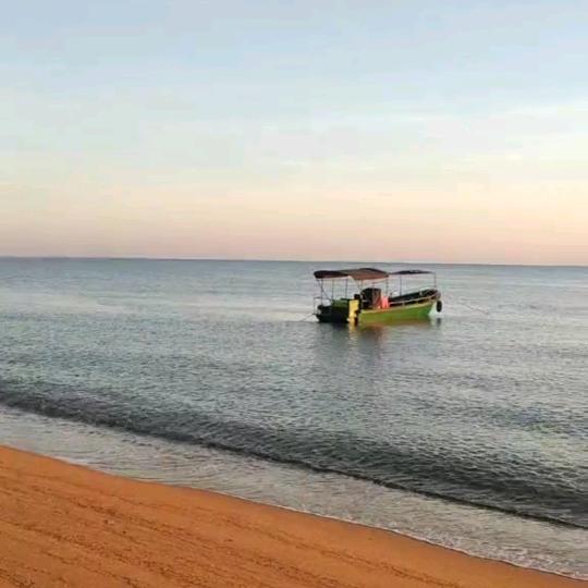汪琴