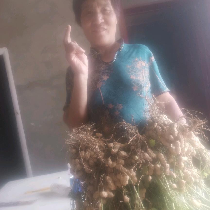 四个孙女两个孙子的奶奶