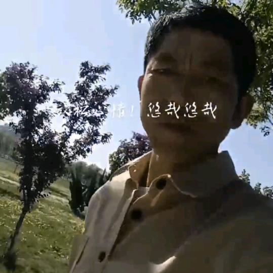 孟哥好物推荐