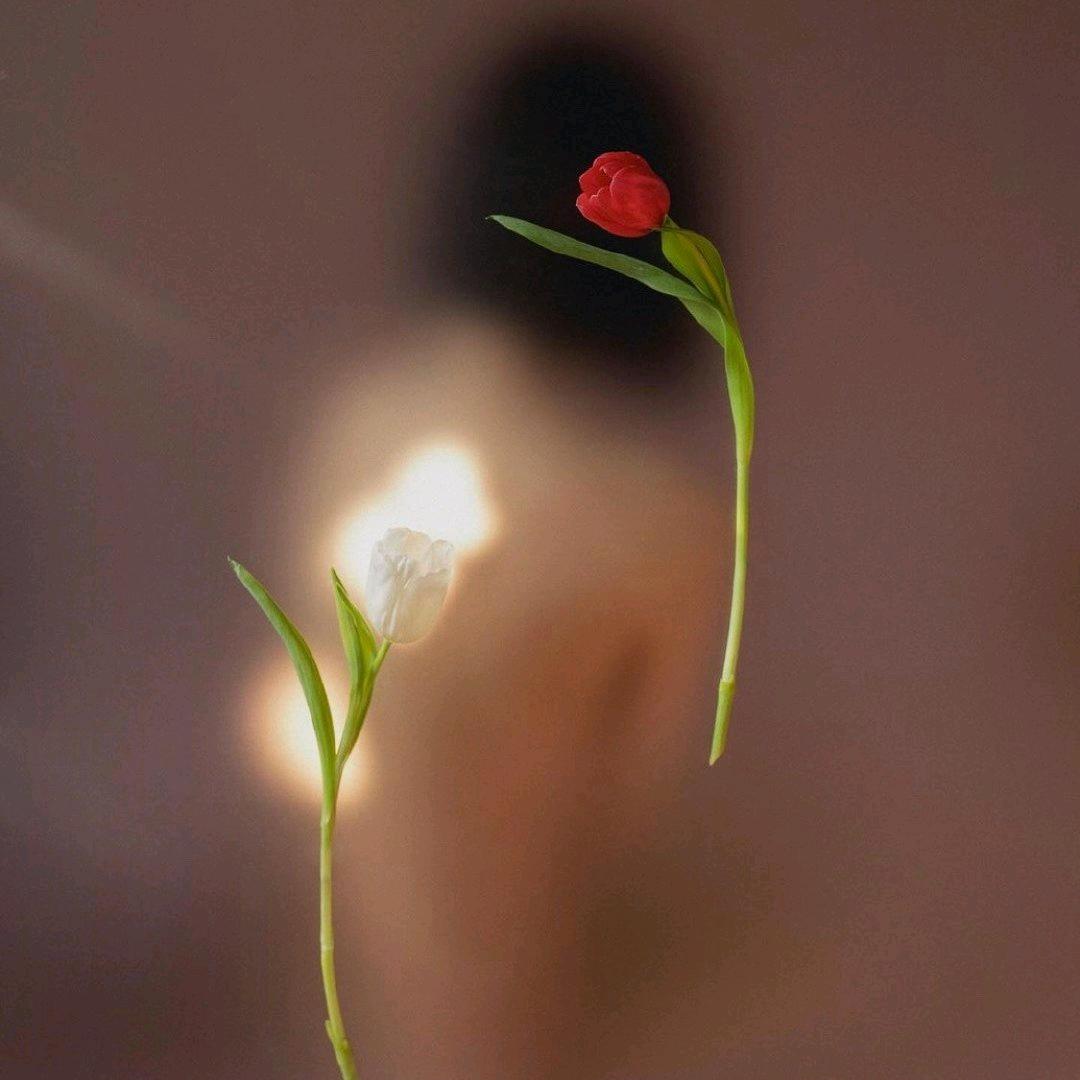 白衣未央