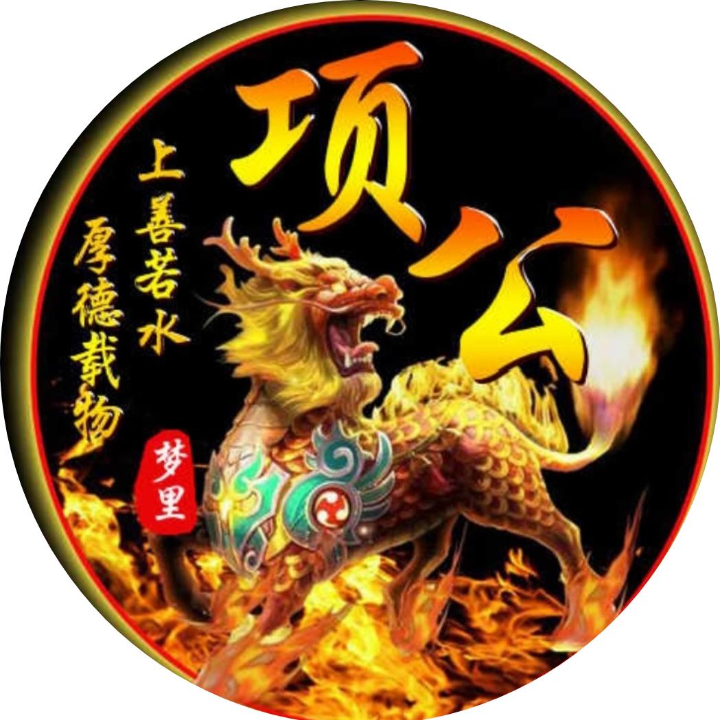 大项公（剪辑）