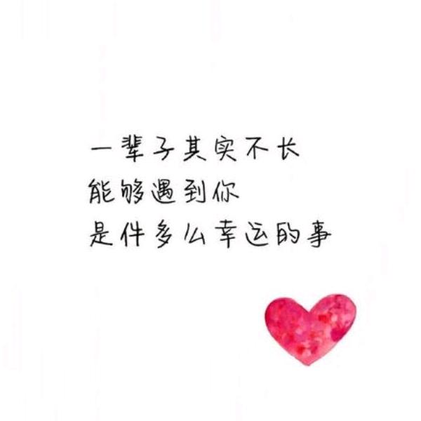 轻舞飞扬