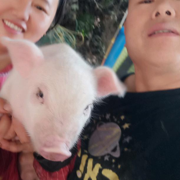 养豬三哥小芳妹