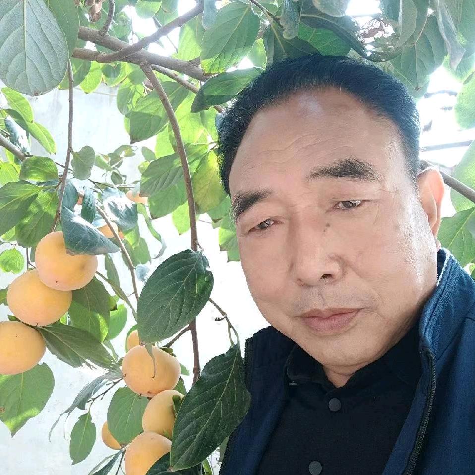 大海