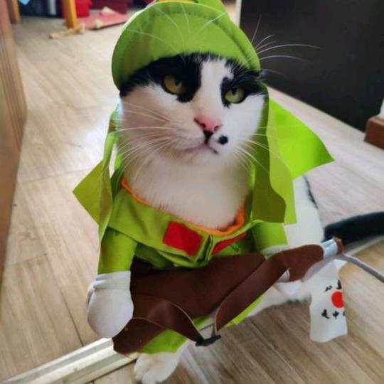 ￥一★个★达★不★刘￥