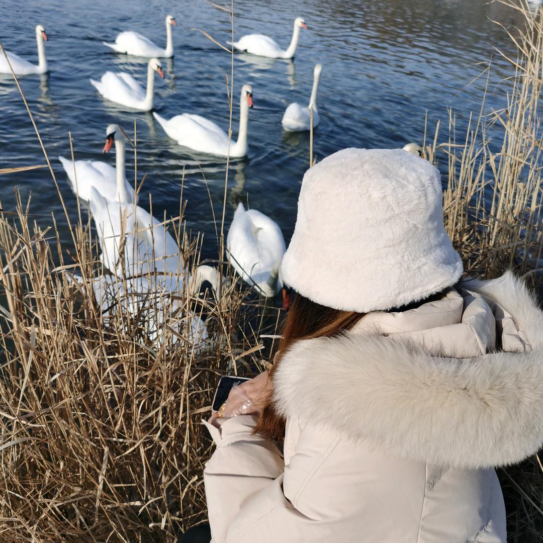 开贝塔的坦克🐬