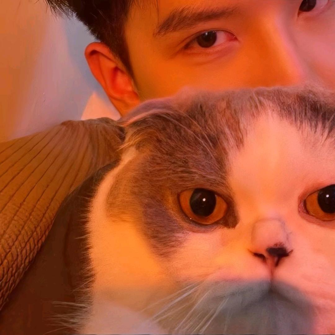 春归