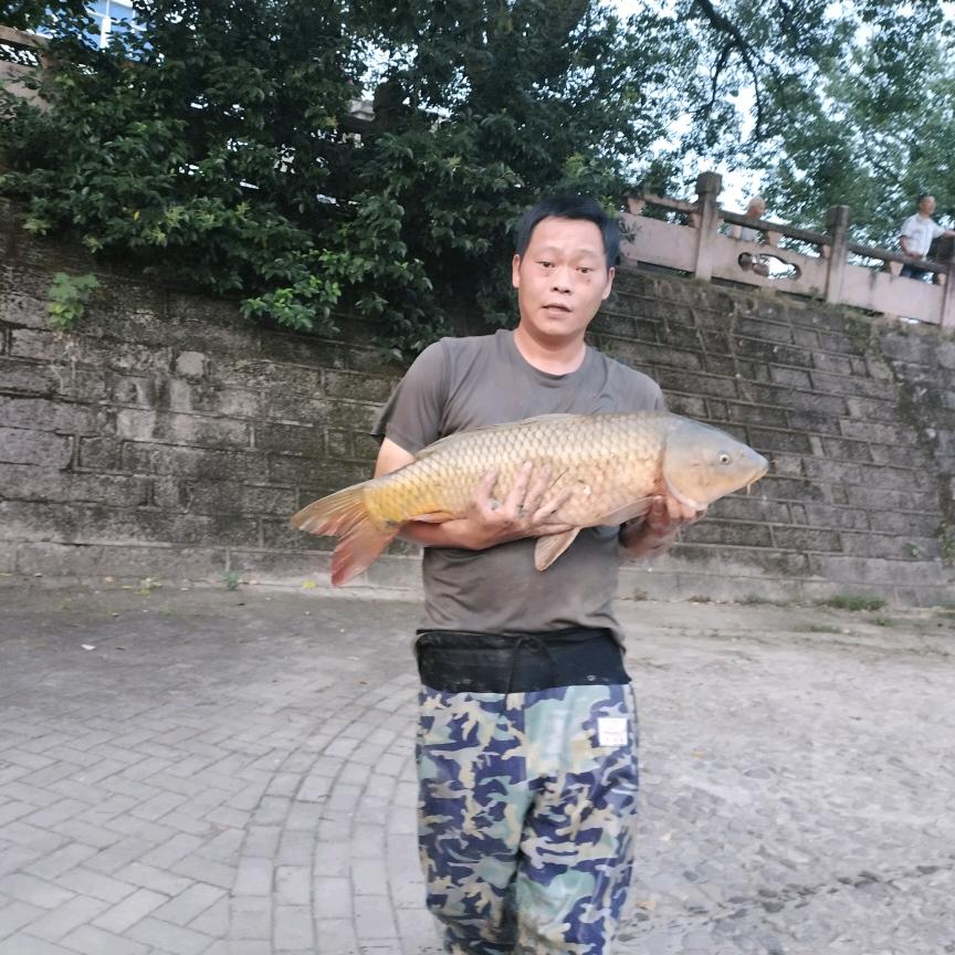 户外钓鱼灯下嗨