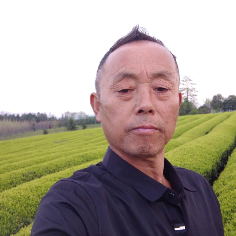 舞者y