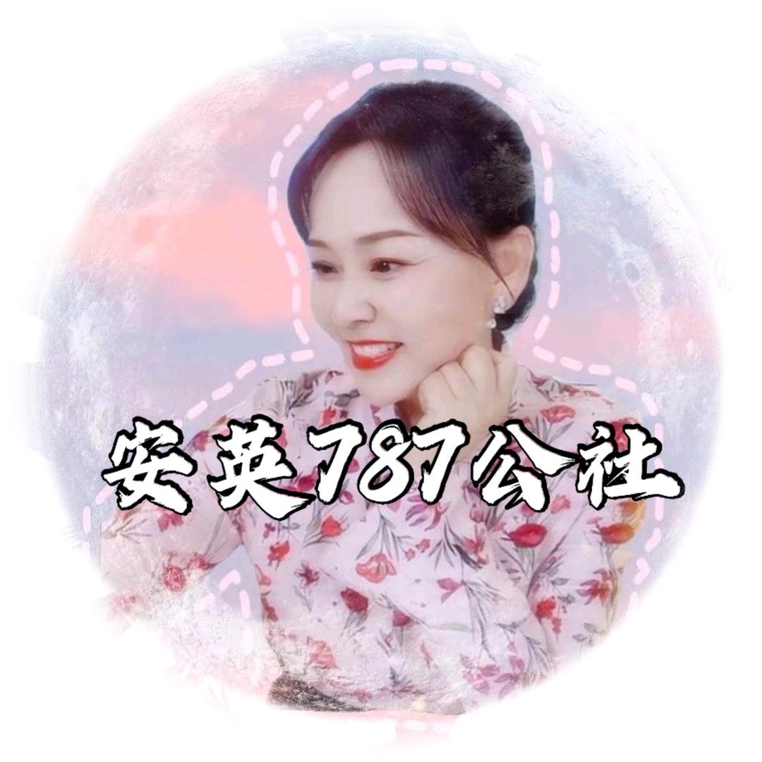 安英787公社🌻