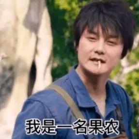 阿达西黄
