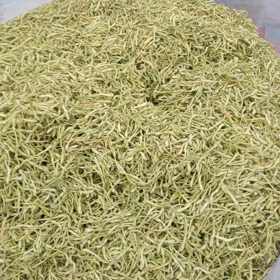 金银花