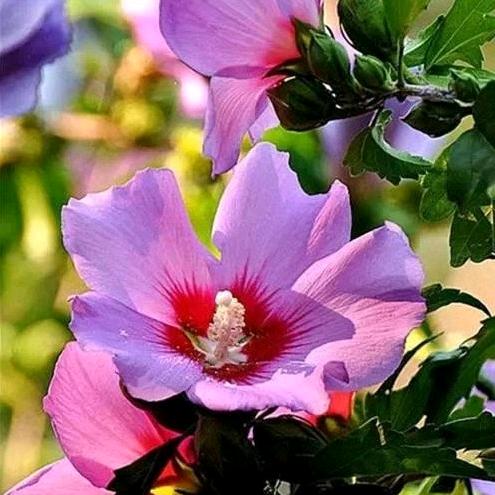 自己爱自己，谁也靠不住