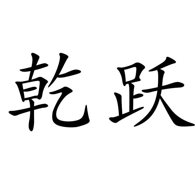 乾跃家饰旗舰店