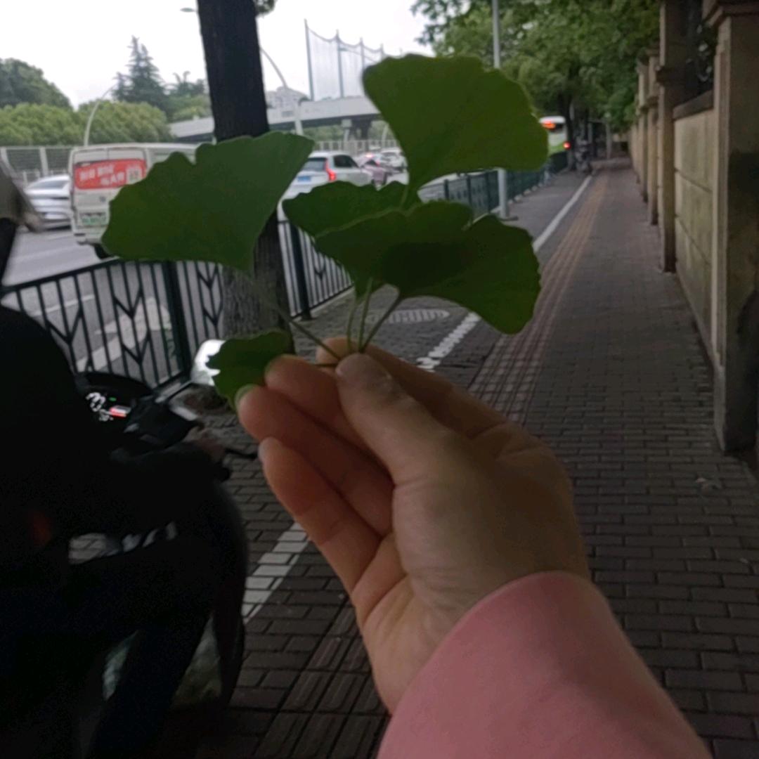 @旭日东升