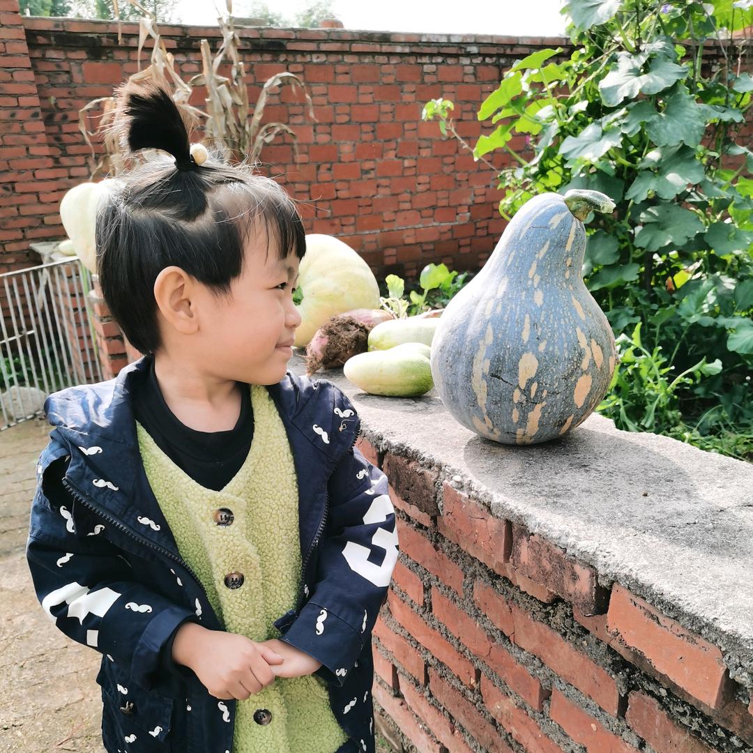 正灰反