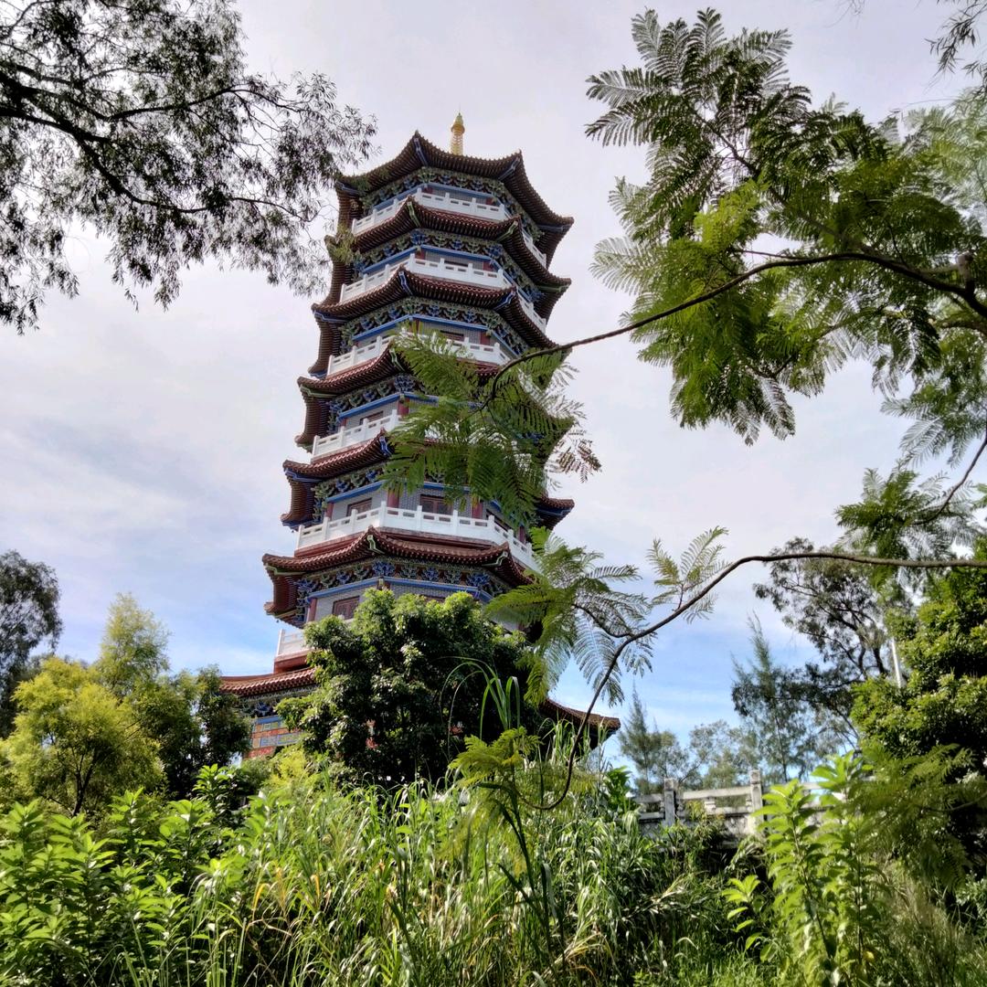 人生如梦269250093