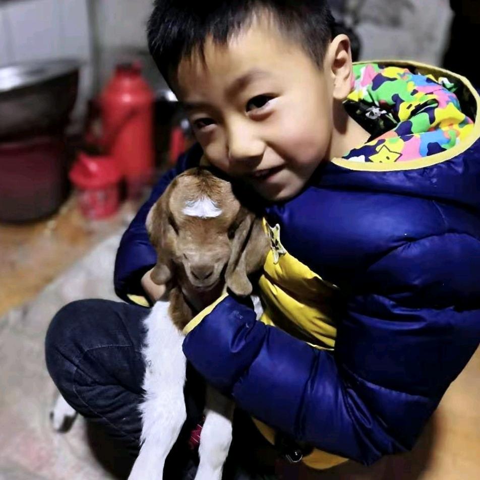 乐^O^晨