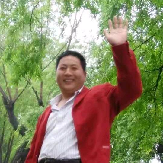 收树哥