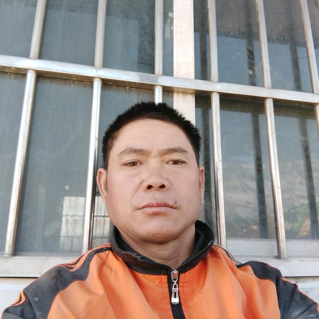 飞来飞去